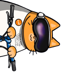 Minicat for card 2